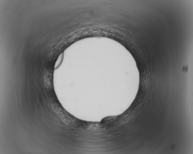 X0000115601490200912081101