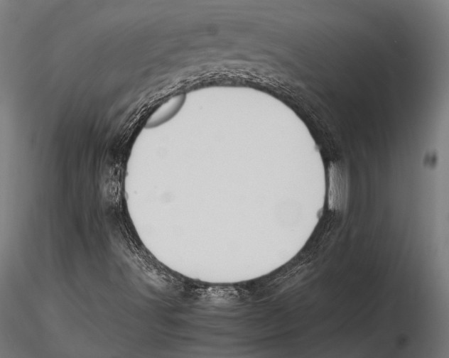 X0000115601491200912081101