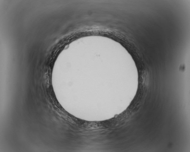 X0000115601493200912081101