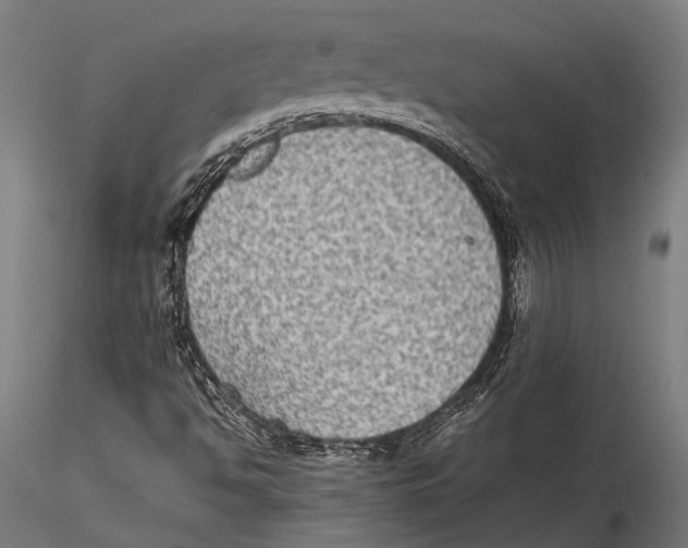 X0000115601494200912081101