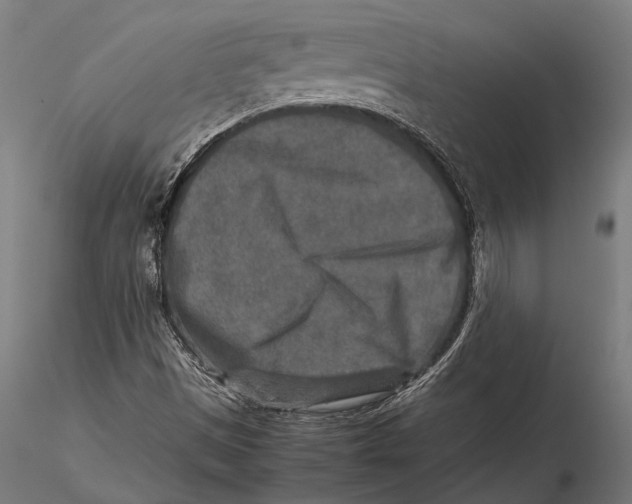 X0000115601497200912081101