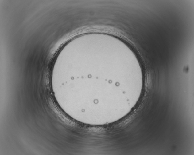 X0000115601498200912081101