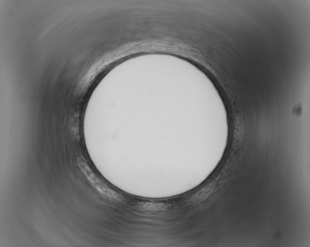 X0000115601499200912081101