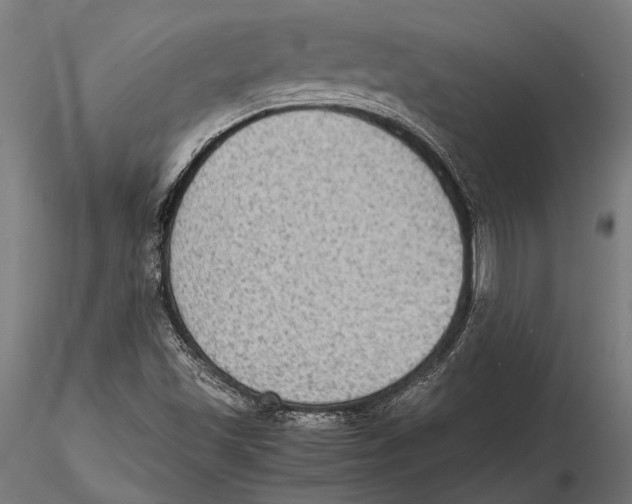 X0000115601501200912081101