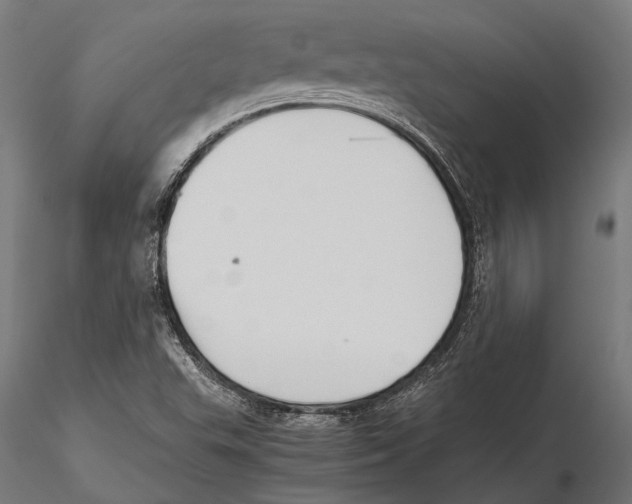 X0000115601503200912081101