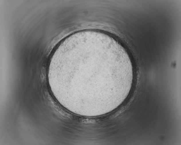 X0000115601505200912081101