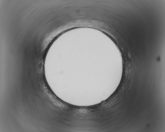 X0000115601507200912081101