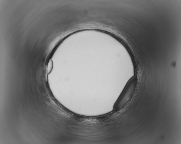 X0000115601509200912081101