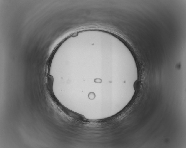 X0000115601510200912081101