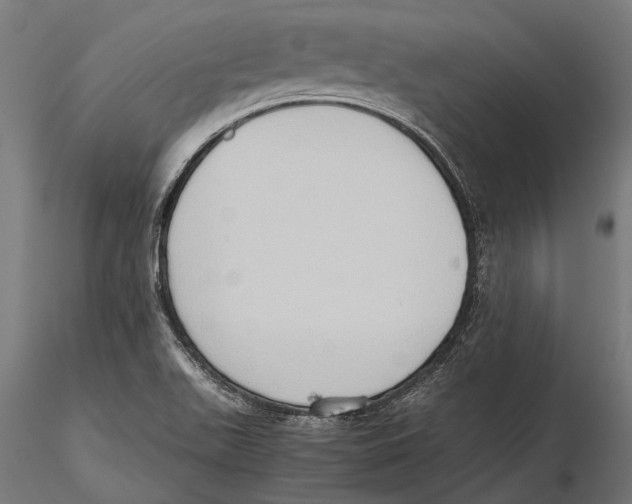 X0000115601511200912081101