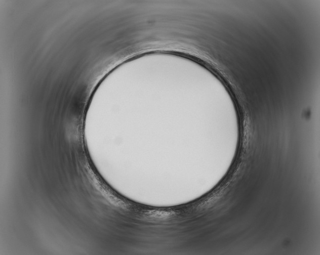 X0000115601513200912081101