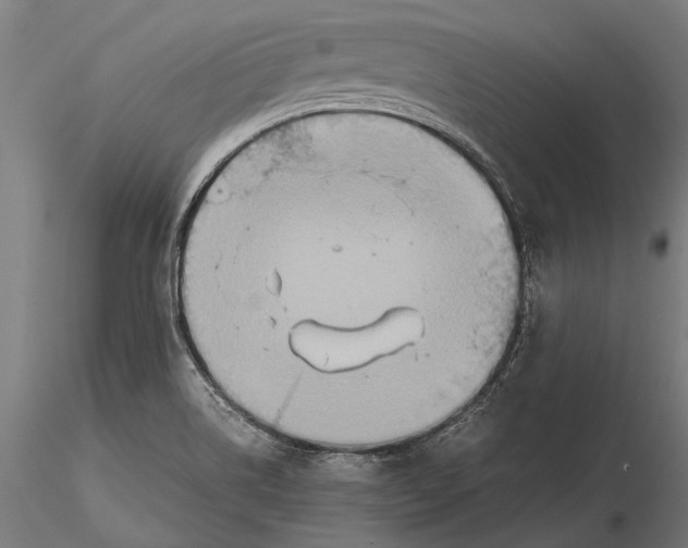 X0000115601514200912081101