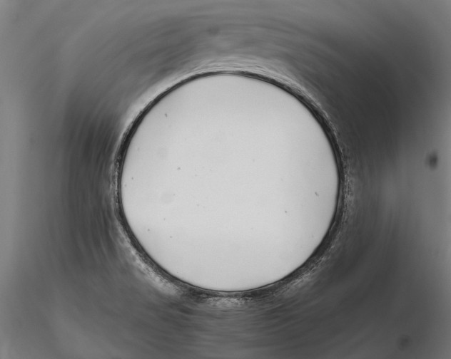 X0000115601517200912081101