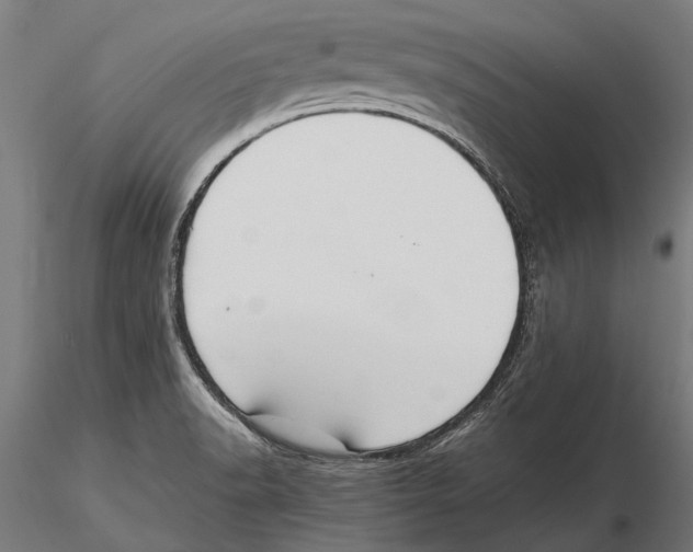 X0000115601518200912081101