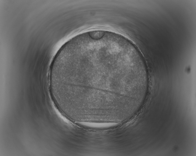 X0000115601519200912081101