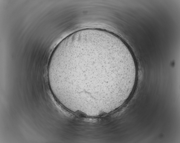 X0000115601521200912081101