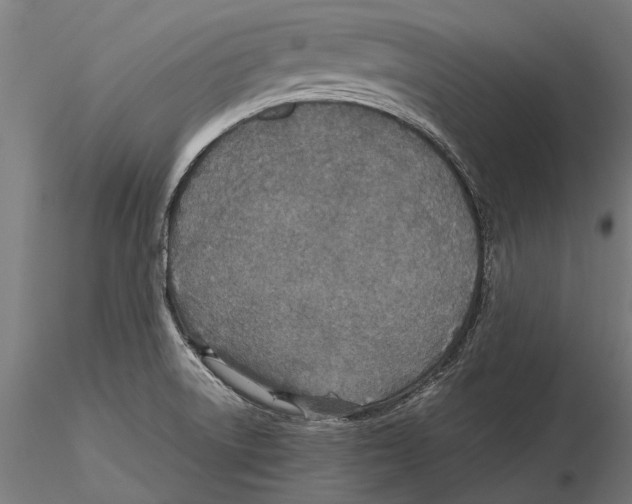 X0000115601522200912081101