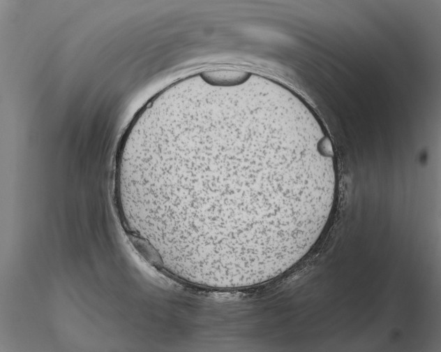 X0000115601523200912081101