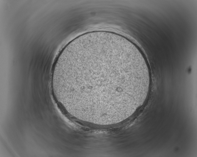 X0000115601525200912081101