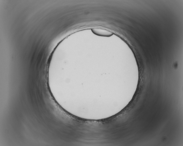 X0000115601526200912081101