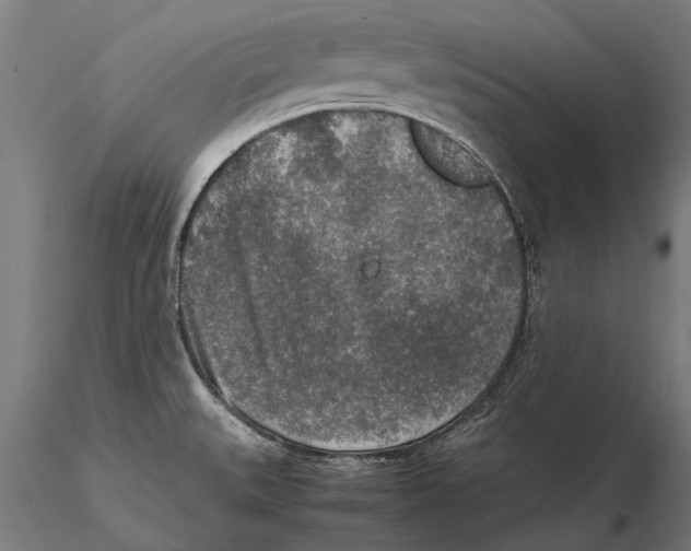 X0000115601527200912081101