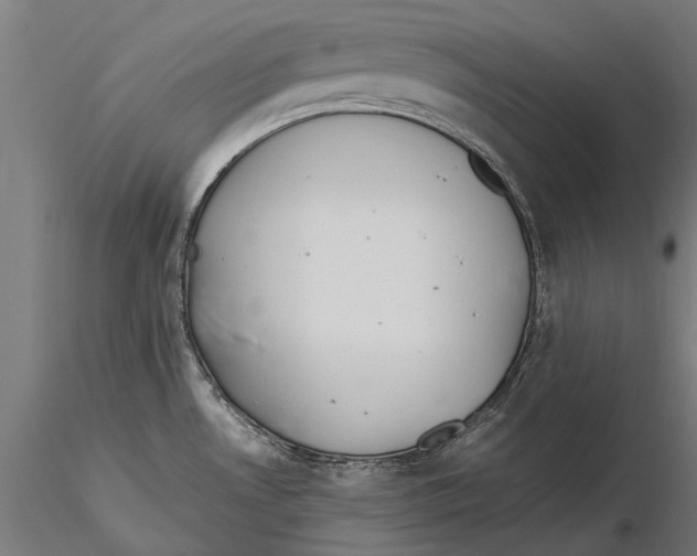 X0000115601530200912081101