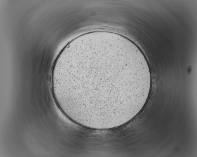 X0000115601531200912081101