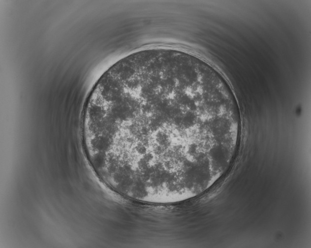 X0000115601533200912081101