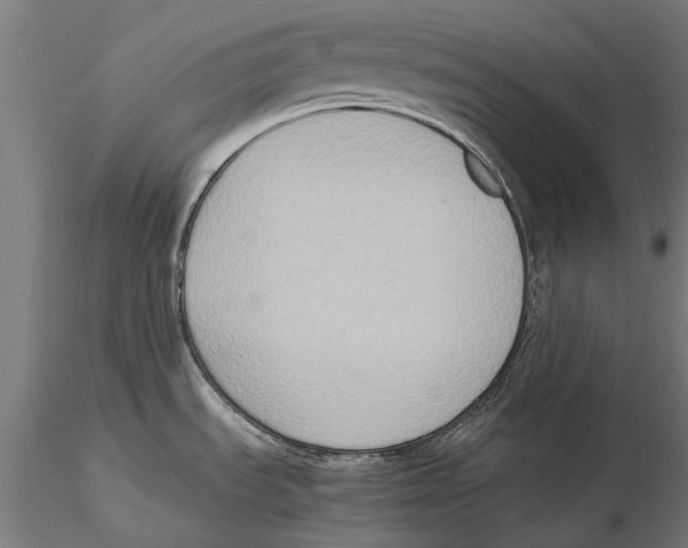 X0000115601535200912081102