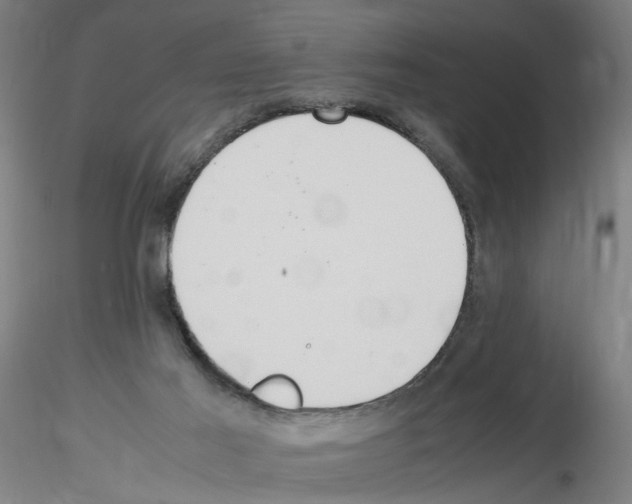 X0000115600021200912221155