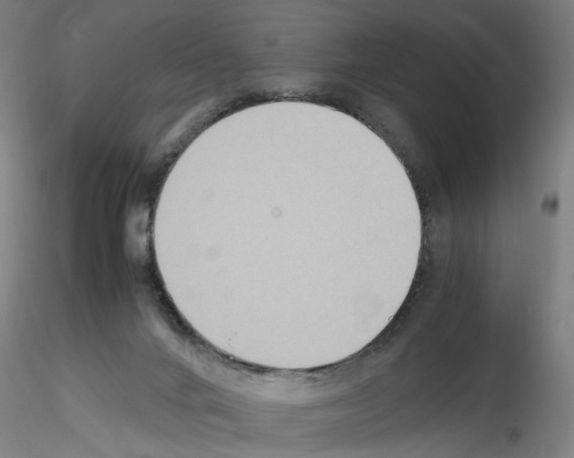 X0000115600024200912221155