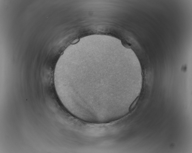 X0000115600029200912221155