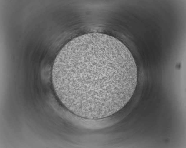 X0000115600030200912221155