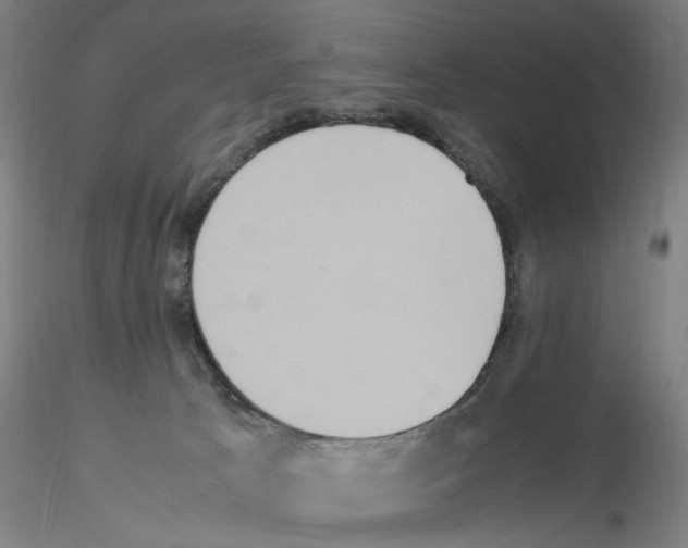 X0000115600033200912221155