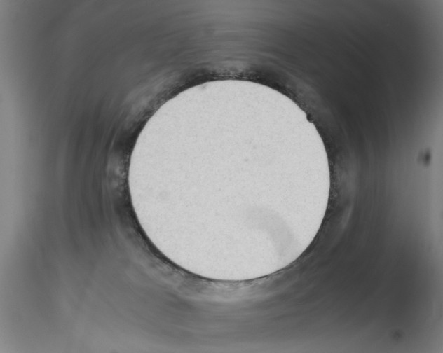 X0000115600037200912221155