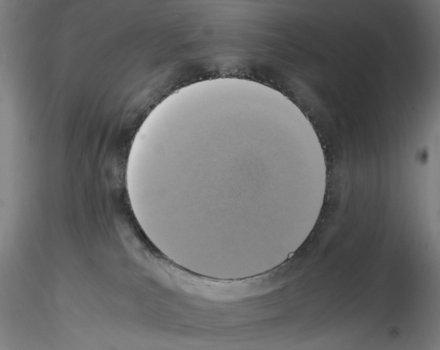 X0000115600039200912221155