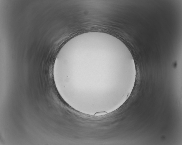 X0000115600043200912221155