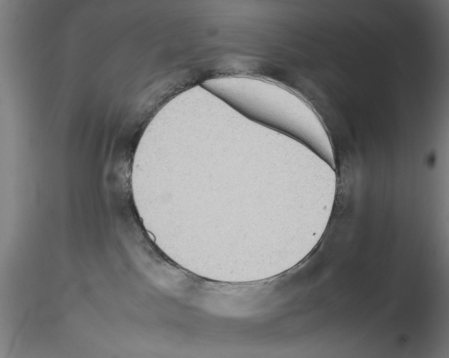 X0000115600045200912221155