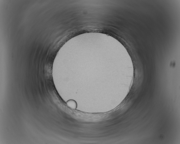 X0000115600048200912221155