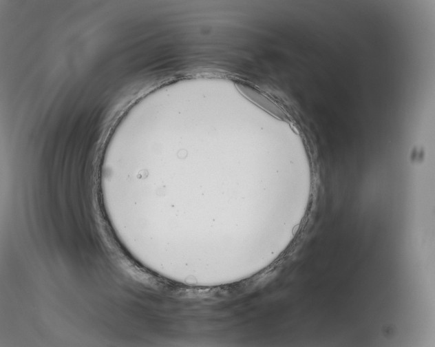 X0000115600049200912221154