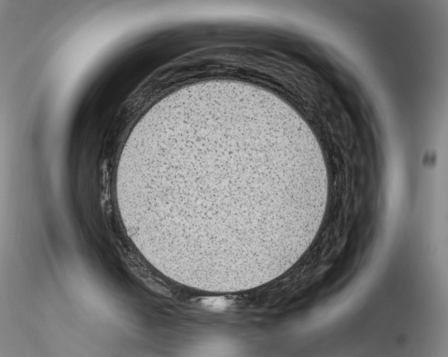 X0000115600050200912221154