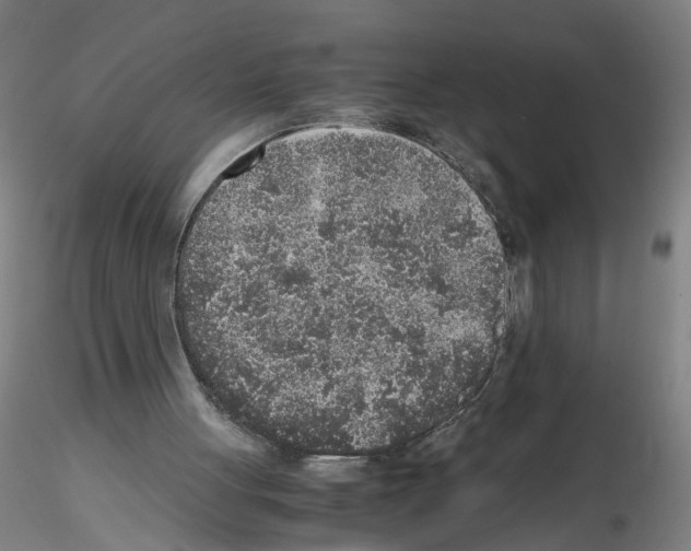 X0000115600051200912221154