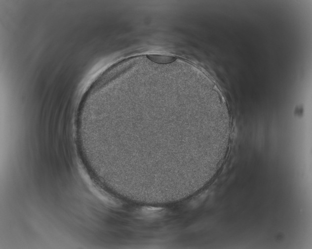 X0000115600055200912221155