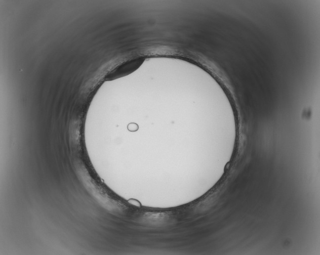 X0000115600057200912221155