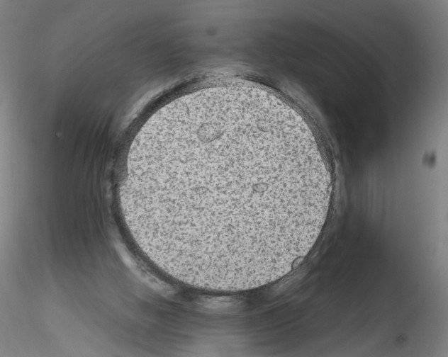 X0000115600058200912221155