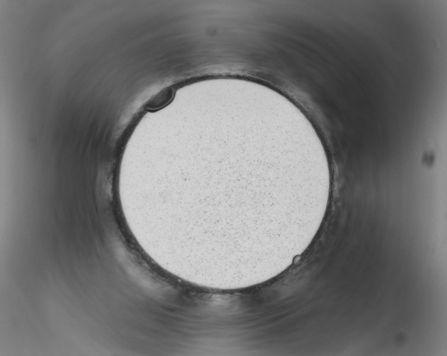 X0000115600060200912221155