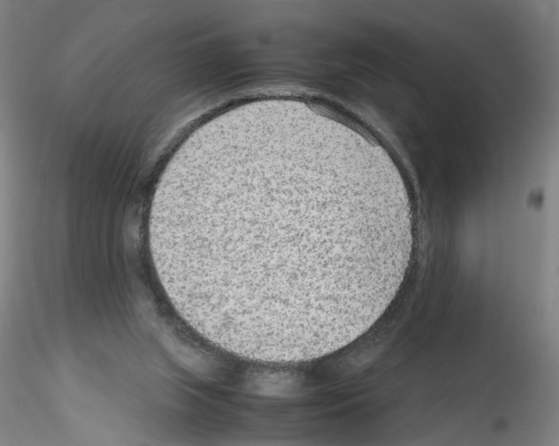 X0000115600063200912221155