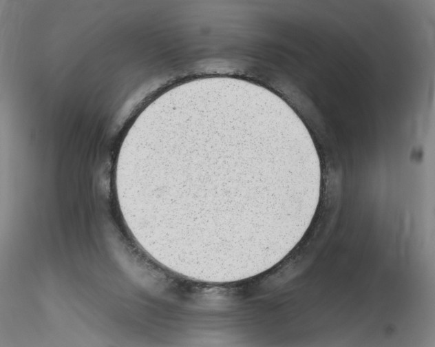 X0000115600064200912221155