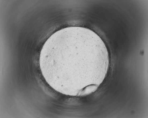 X0000115600065200912221155