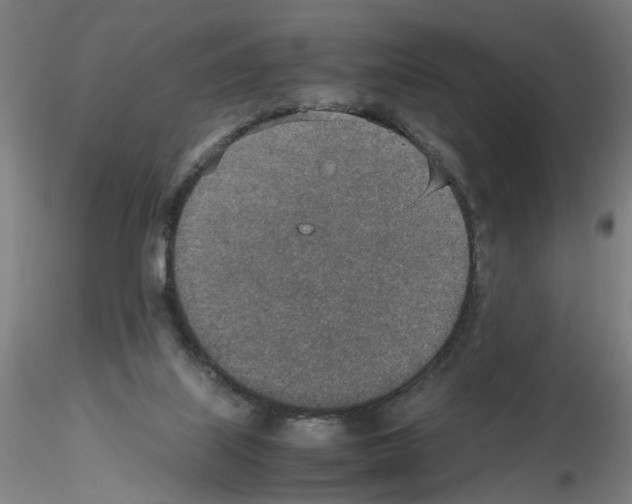 X0000115600067200912221155